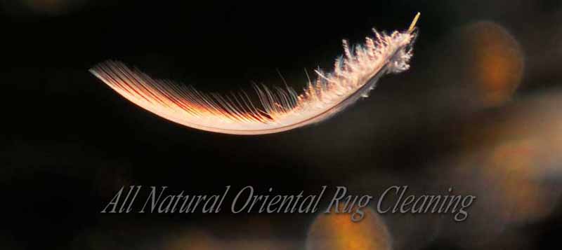 Organic cleaning process because  I care for the environment.