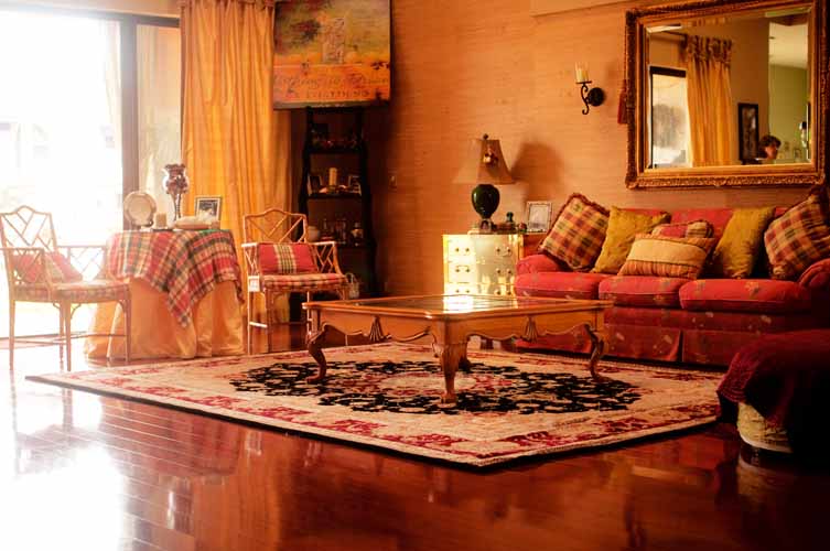 Cat urine odor on machine made area rug