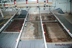 Cleaning rugs on the MDM system
